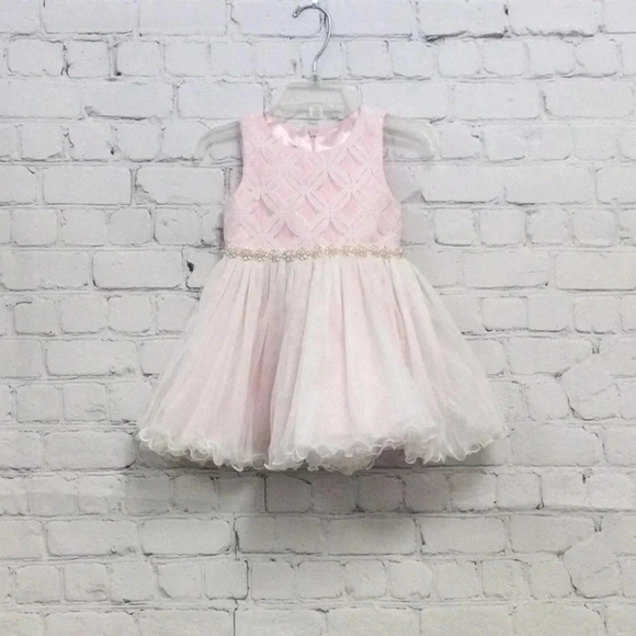 American Princess Pink Tulle Dress size 18M - Picture 1 of 7